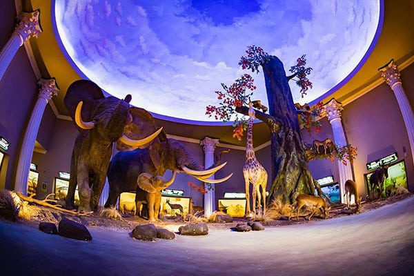 Lokasi Batu Secret Zoo
