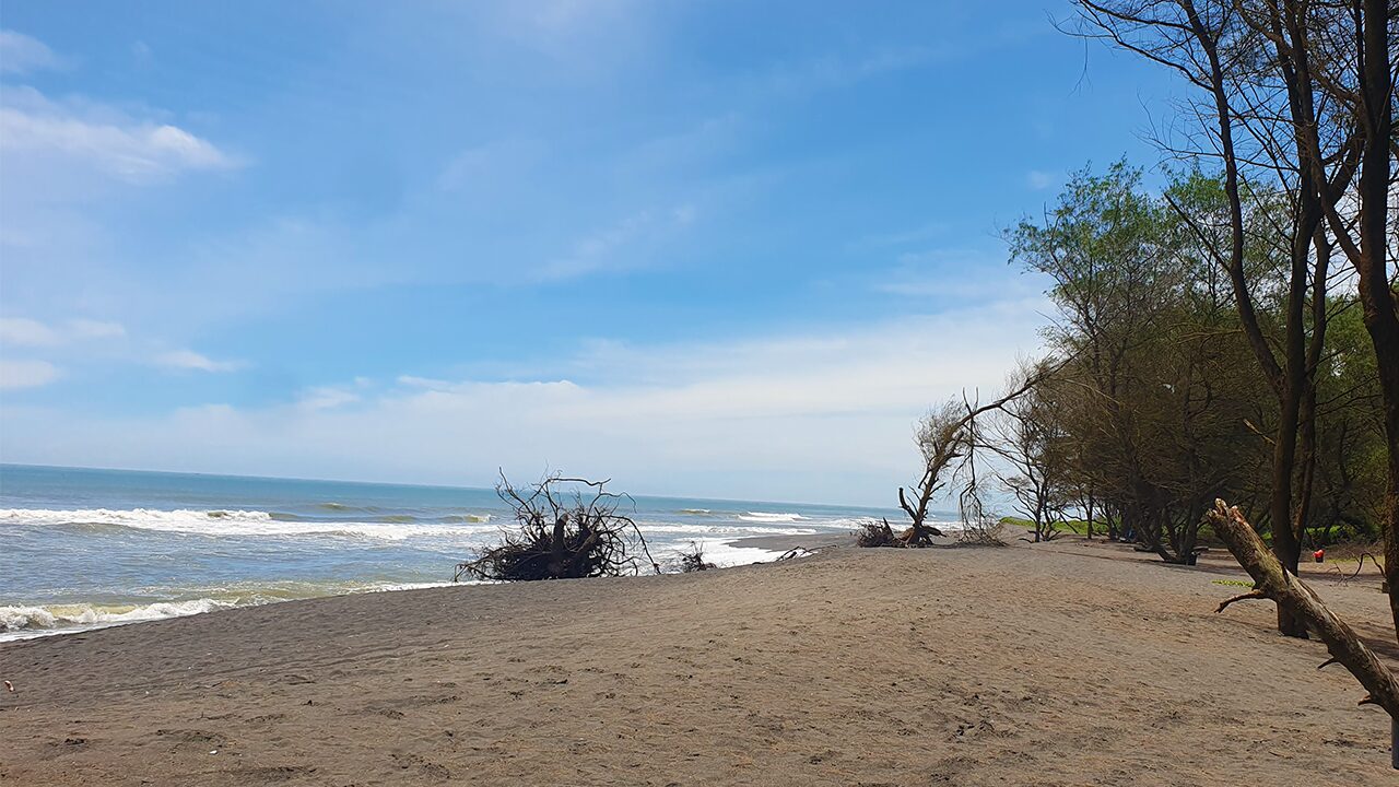 Pantai Goa Cemara: Lokasi, Tiket Masuk dan Daya Tariknya