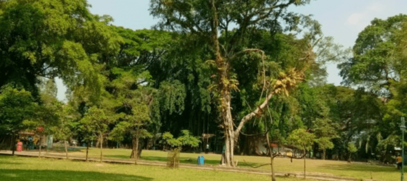 Taman Balekambang Surakarta