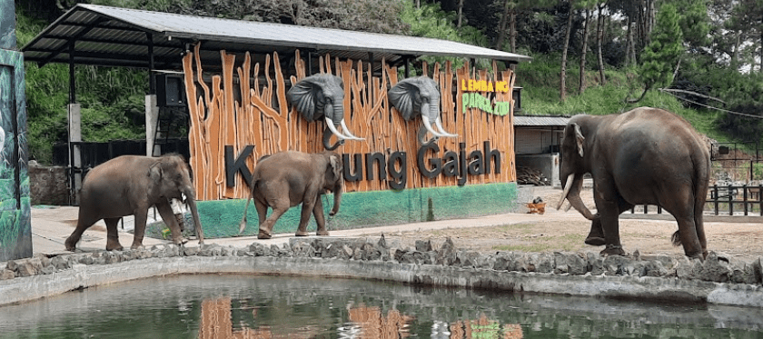 Lembang Park Zoo 