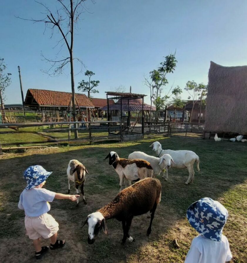 Mini Zoo Sui Farm Malang