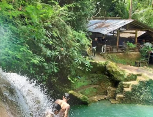 Ekowisata Sungai Mudal Kulon Progo: Daya Tarik, HTM & Lokasi
