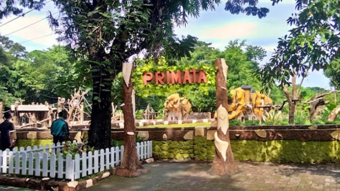 Harga Tiket Kebun Binatang Surabaya