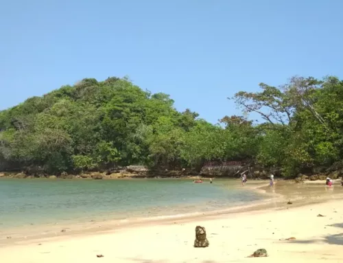 Pantai Banyu Meneng: Lokasi, Tiket Masuk, Daya Tarik (2024)